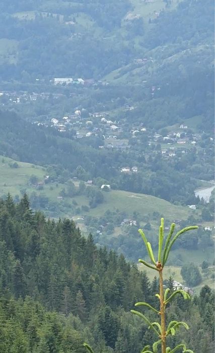 Ділянка далеко аід людей .