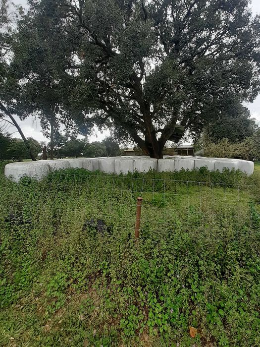 Bolas de Silagem de Azevém