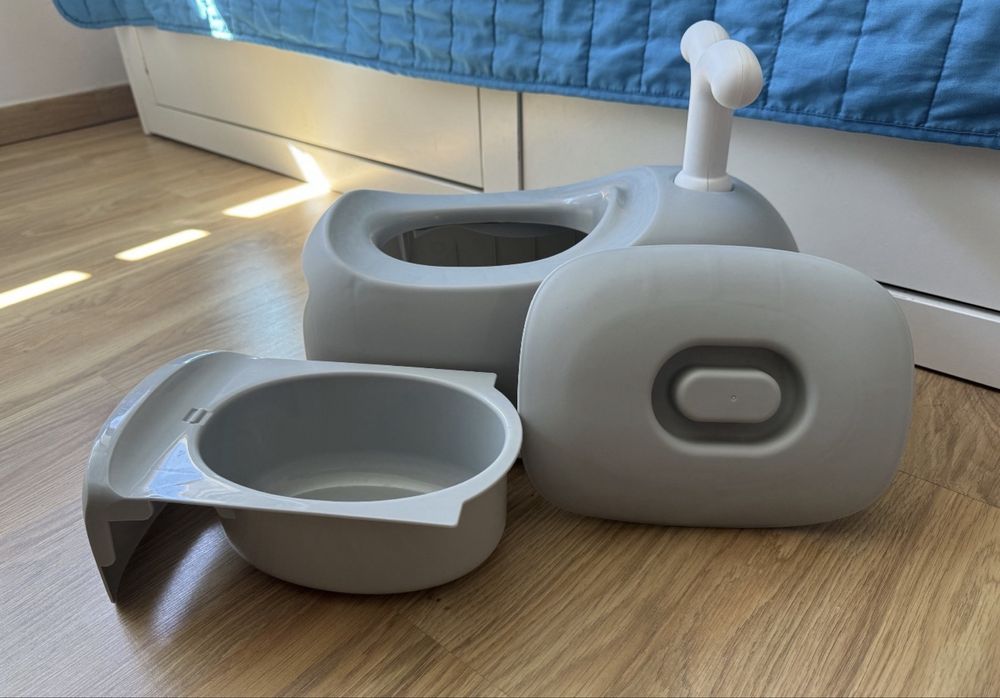 Bacio cinzento baleia