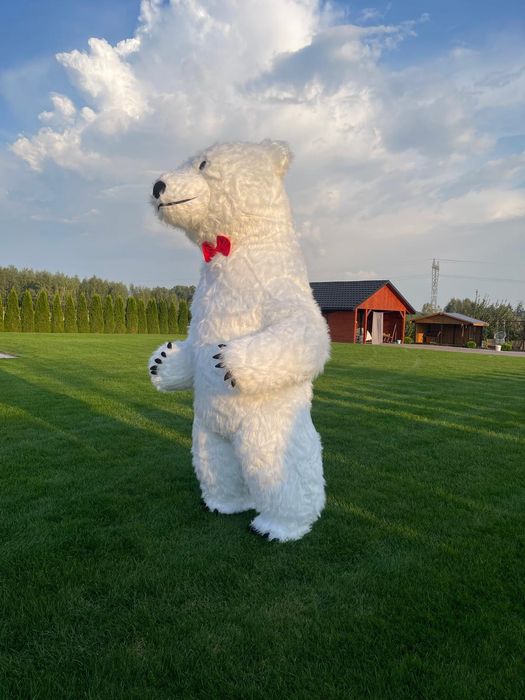 Biały Miś- kostium dmuchany 260