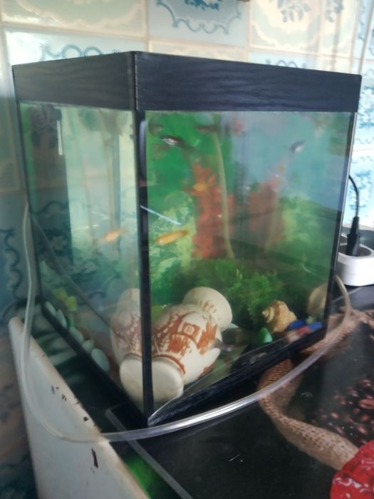 Продам аквариум на 5ть литров