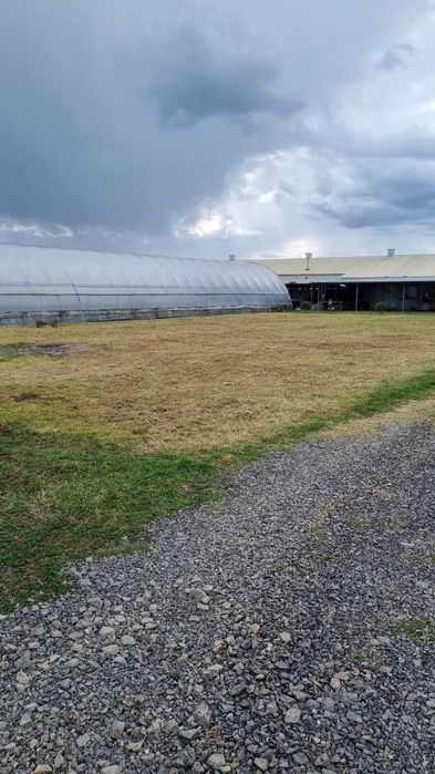 Оренда 1,3 Га землі (2 км від Мукачева)