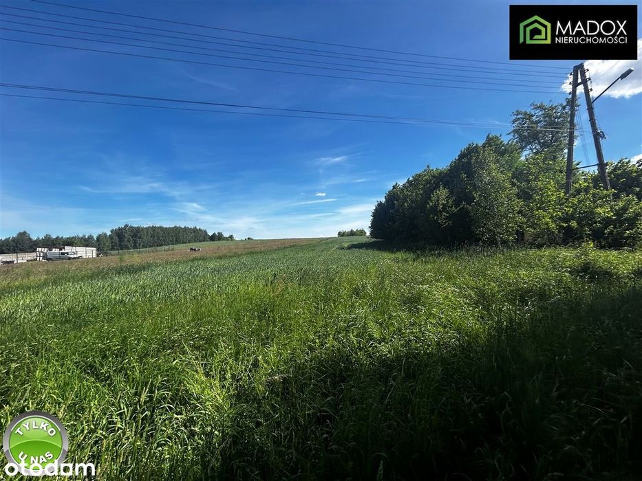 Działka 6914 m² | Pierzchno | Mpzp