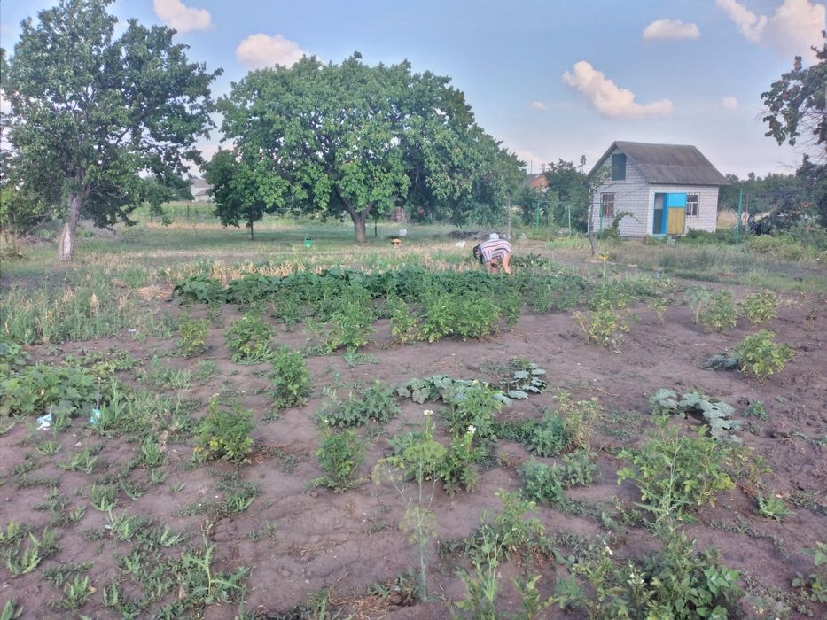 Дача. Дом. 10 соток