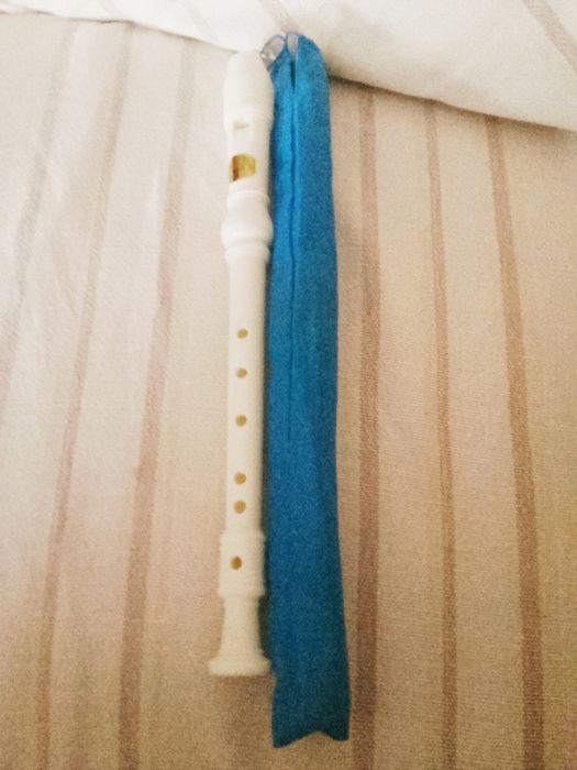 Flauta De Música Nova