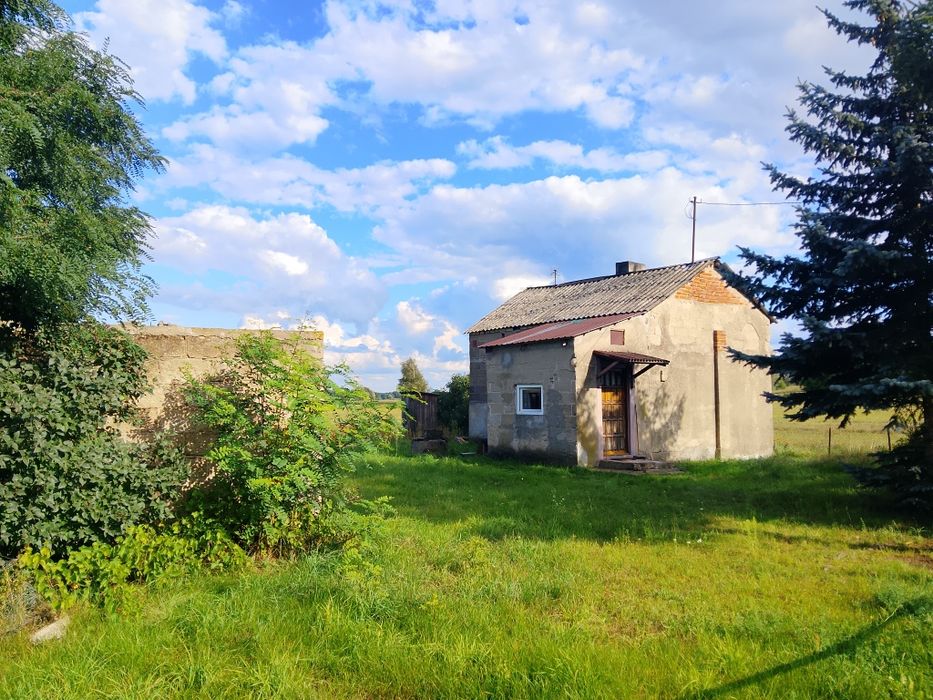 Dom – Grzegorzew - Widok 3