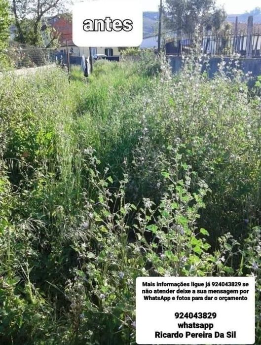 Faço limpeza geral Terrenos Jardins e Quintais com Rocadora Tb Faço Serviços Demolição Recolha Entulho Madeira Monos Resíduos Serviços Mudança