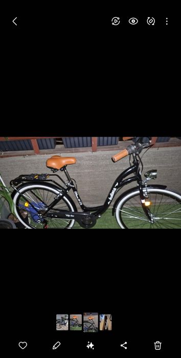 Rower damski Indiana