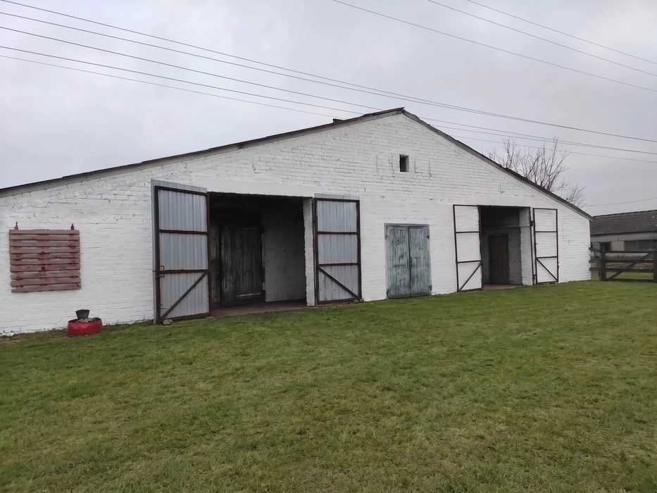 Продаж комплексу 30 000 м², Чернігівська обл.: ферма / склад / виробництво