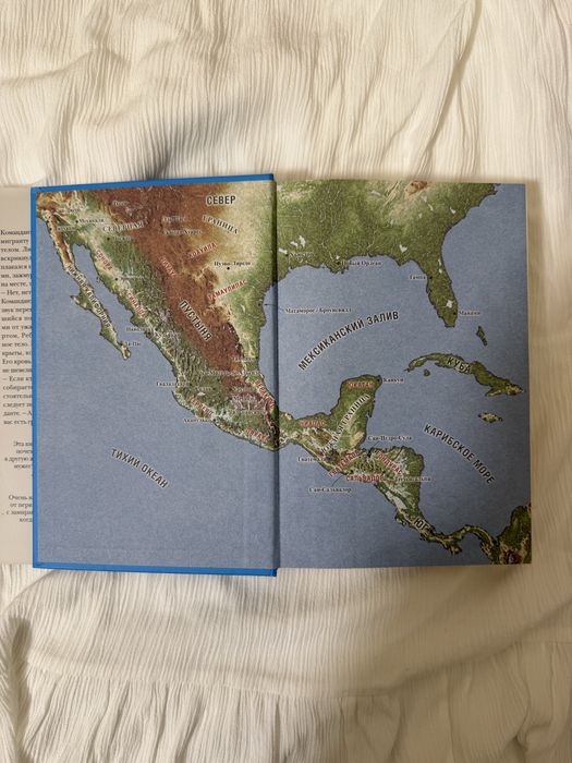 Американская Грязь Дженин Камминс твердый переплет