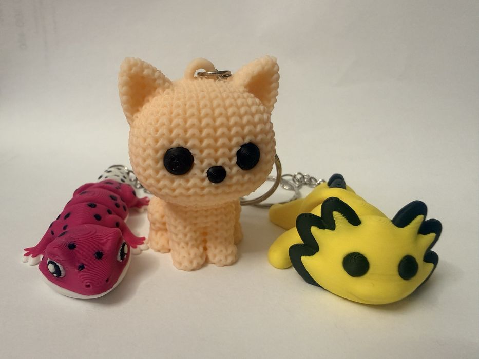 Zestaw gekon  brylok do kluczy