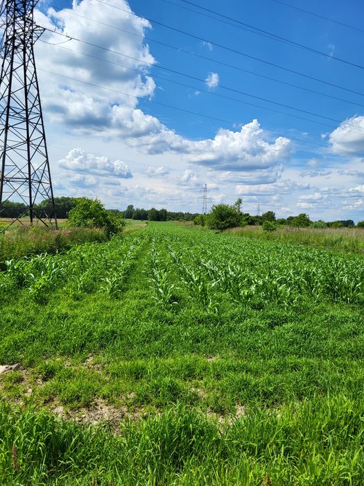 Działka na sprzedaż 8600m2