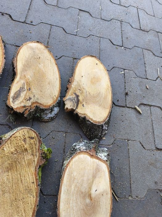 Plastry brzozy, nieregularne kształty baza na ozdoby
