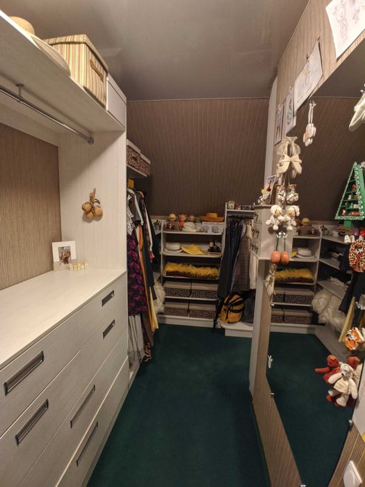 Два будинки на одній ділянці в передмісті Черкас, с.Свидівок