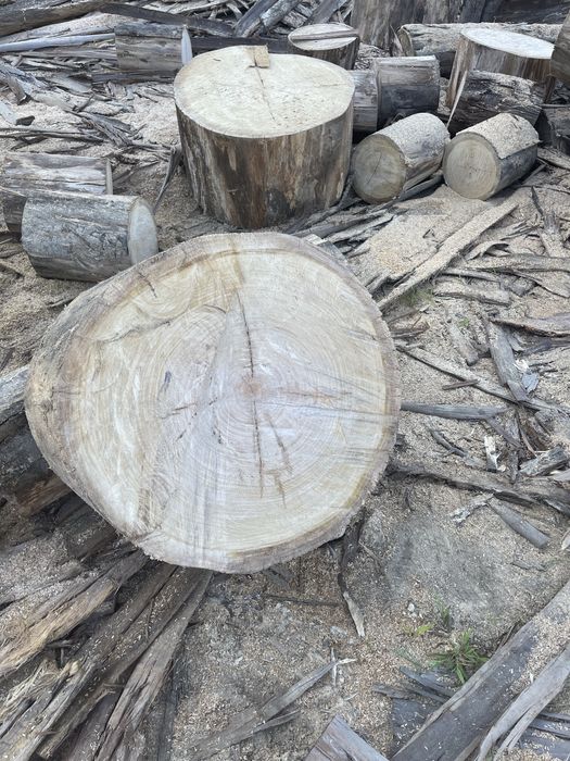 Lenha Seca de Qualidade!