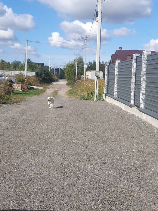 Продам земельну ділянку 10 соток вул. Цвітаєва