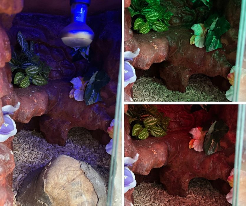 Terrarium 2w1 ręcznie wykonane