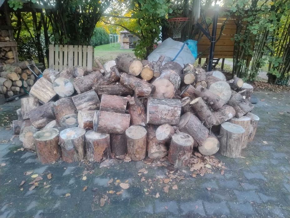 Drewno opałowe sosna