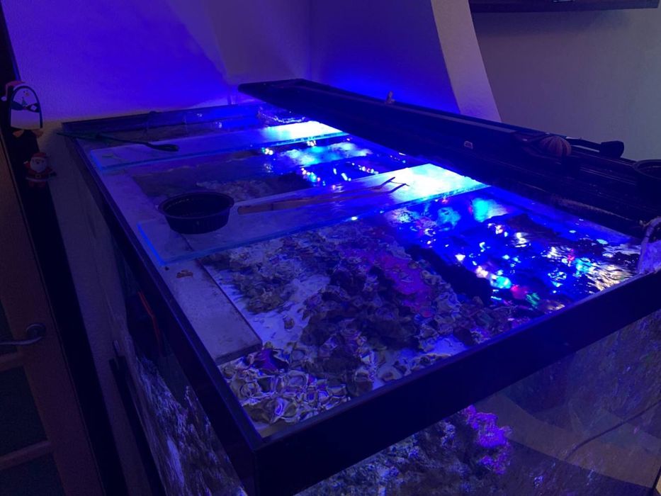 Акваріум 550л з усім обладнанням