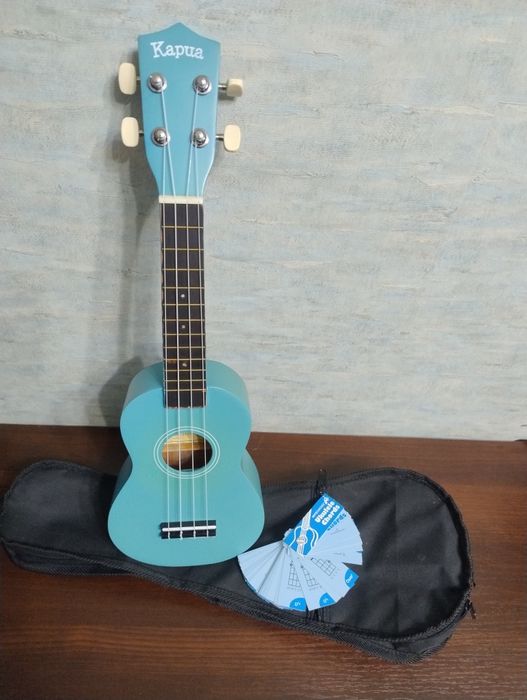 Укулеле Kapua Figure UKU2-LBL (сопрано) з чохлом.

Це фітнес-колесо Do