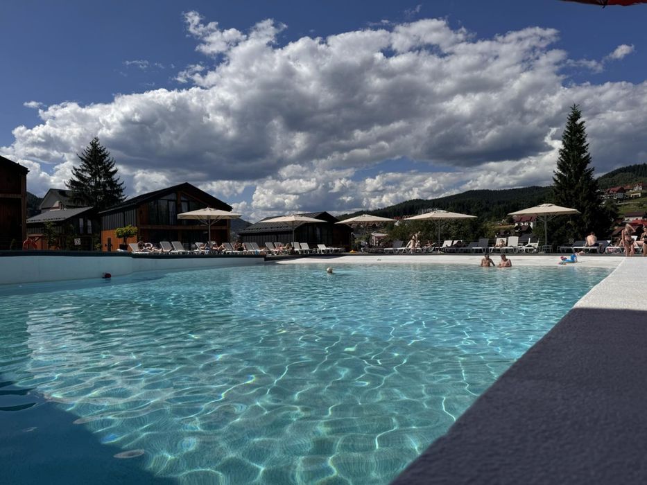 Phoenix Фенікс Буковель котедж-ефективна інвестиція!