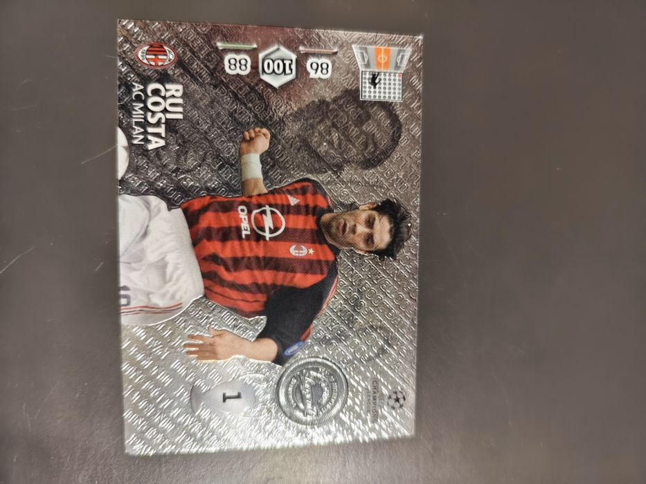 Karty Panini UEFA Champion League 2013/2014
