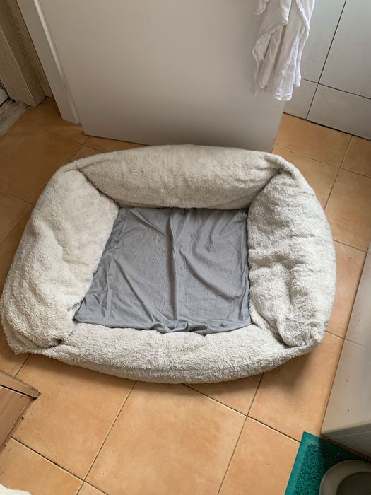 Cama XL para cão