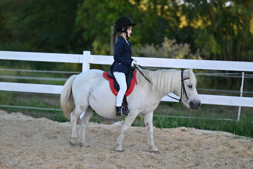 Kucyk dla poczatkującego