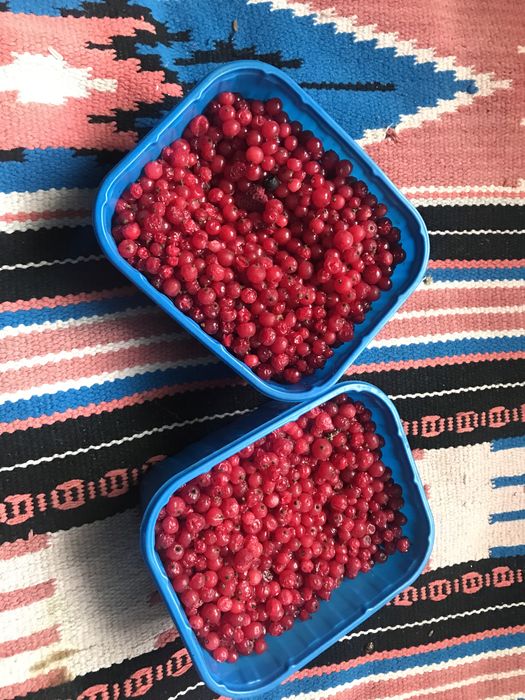 Червона смородина. Порічка заморожена. Ягоди.