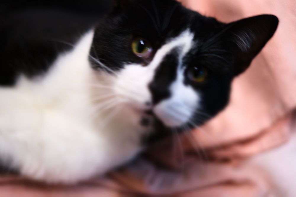 Registo fotográfico e vídeo | pequenos eventos - Gaia