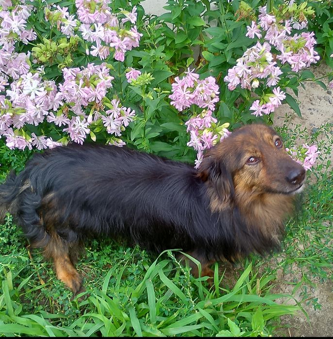 Малюк Блек! Хлопчик друг! 1 рік