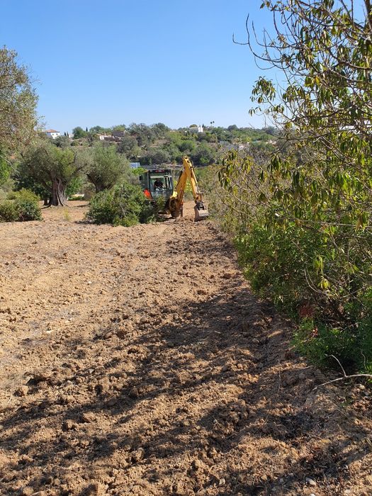 Limpeza e desmatação de terrenos .