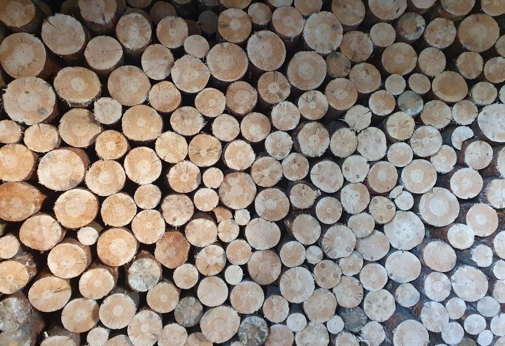 Drewno opałowe suche