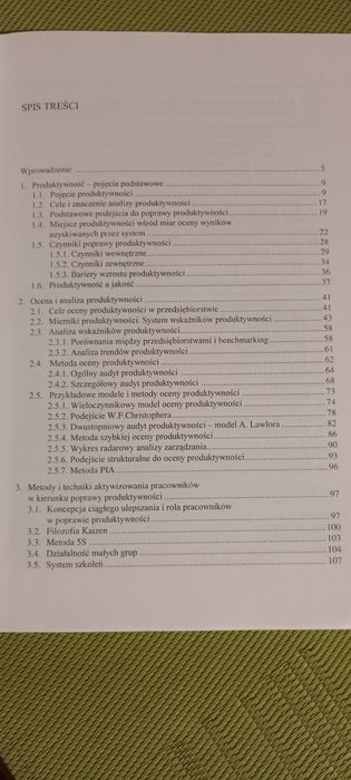 Programowanie Poprawy Produktywności