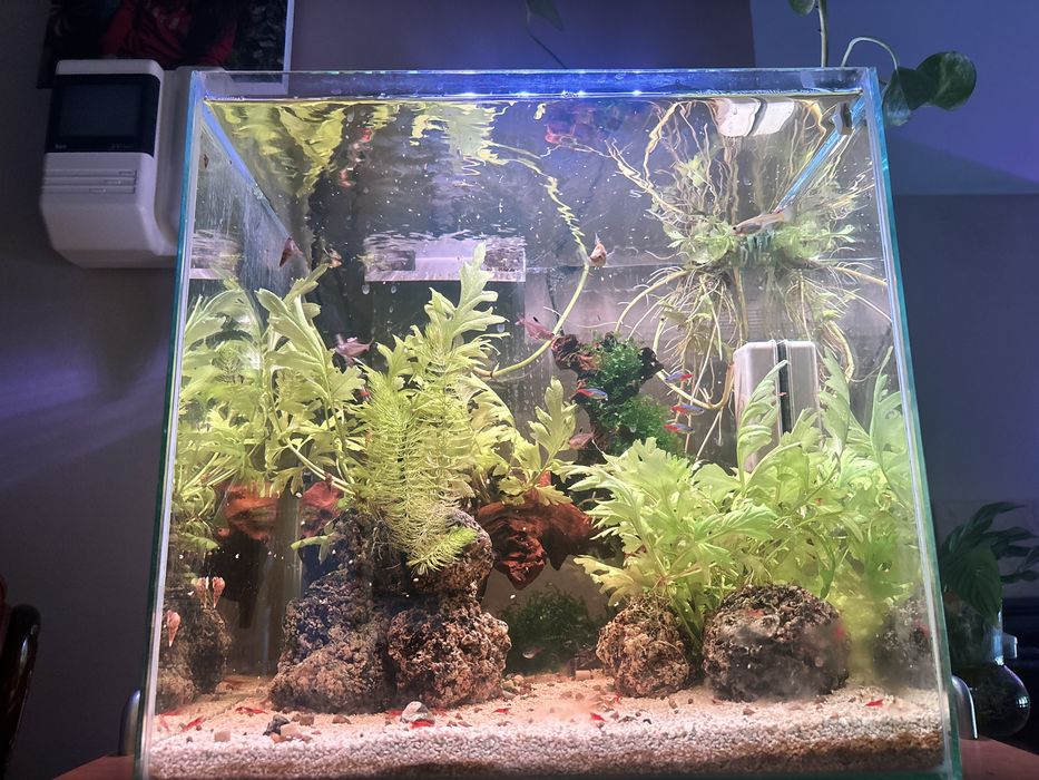 Aquario de agua quente