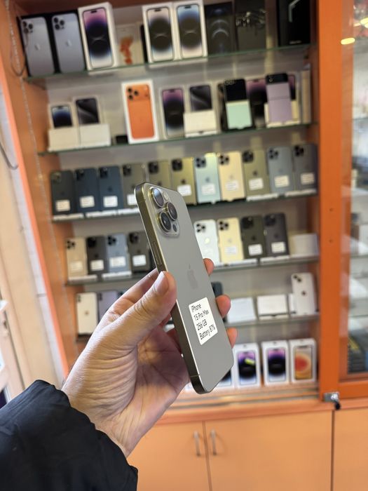 iPhone 15 Pro Max 256 GB физ сис