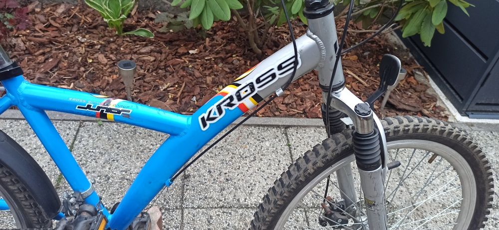 Rower Kross 24 cale