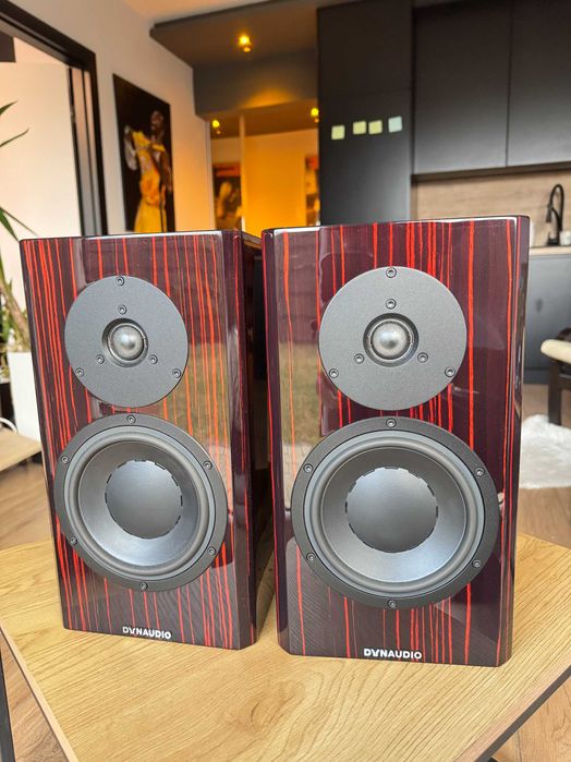 Kolumny Dynaudio Special 40 Forty SP40 Black Vine Focal Bowers Dali
