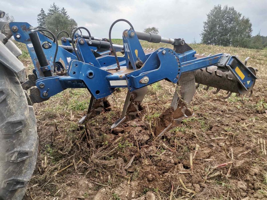 Glebosz Dalbo Ratoon 5 zebow