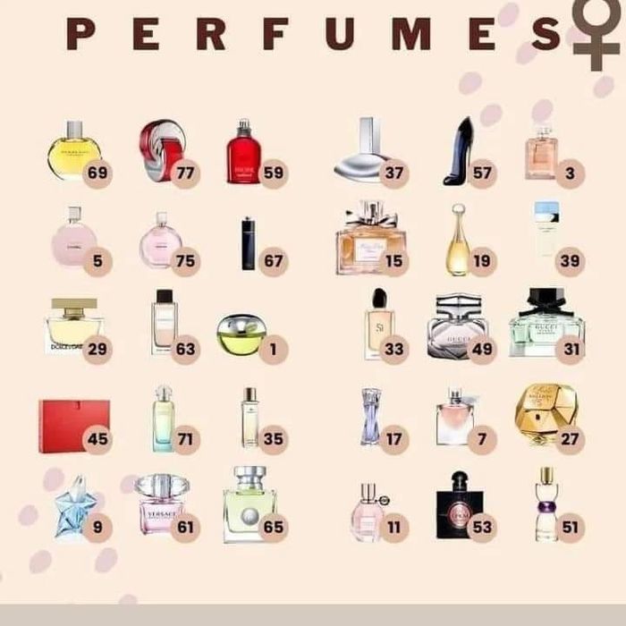 Equivalências de Perfumes