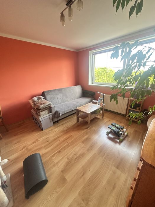 Kawalerka na wynajem Legnica - Widok 3