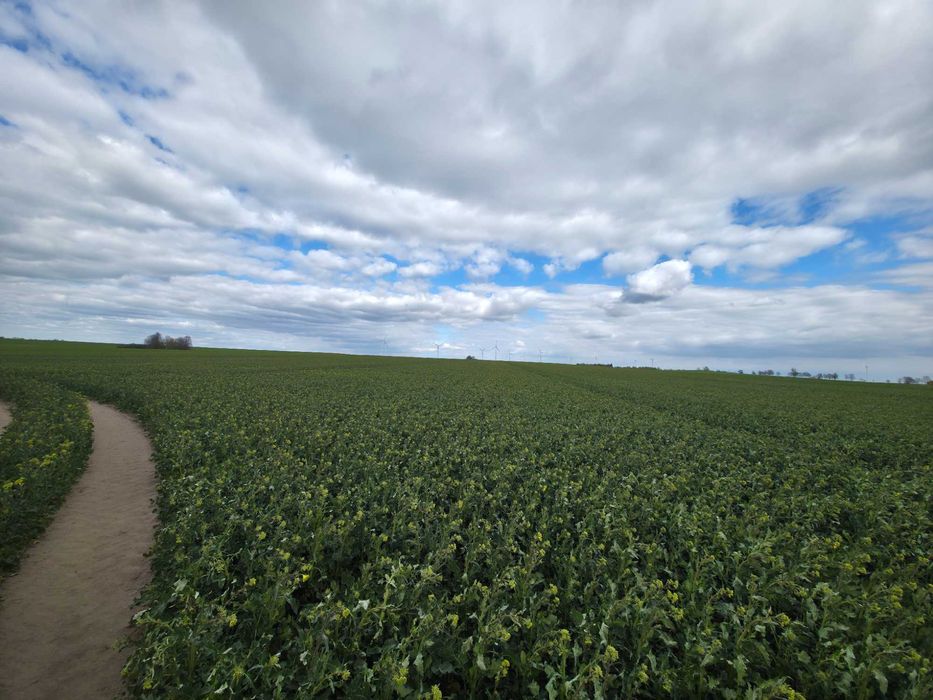 WYJĄTKOWY KOMPLEKS gruntów rolnych 470,403HA
