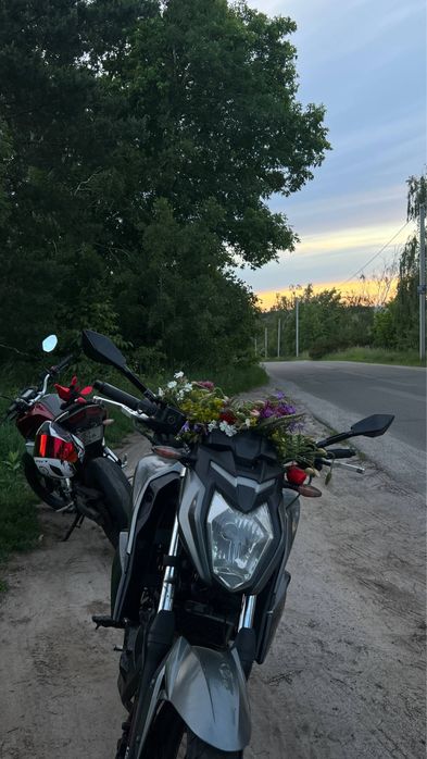 Loncin lx250-15 cr4