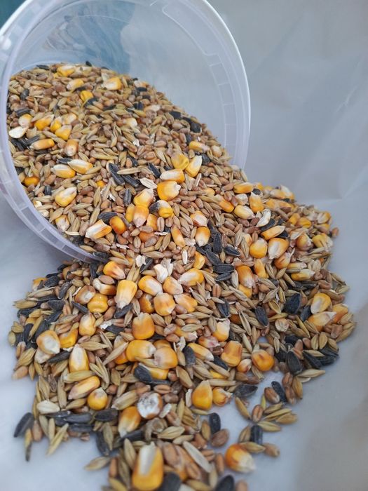 Насіння в контейнері та на вагу