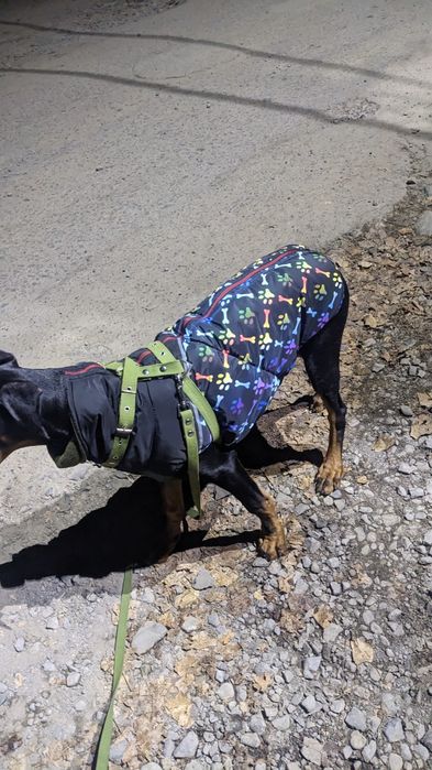 Безрукавка на флісі