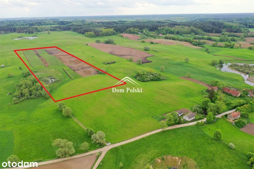 Działki 4,2 ha / 8,1 ha Mazury Garbate - Barany - Widok 2
