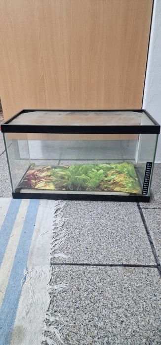 Aquário semi novo
