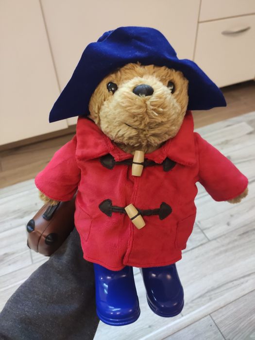 Miś Paddington maskotka oryginalna