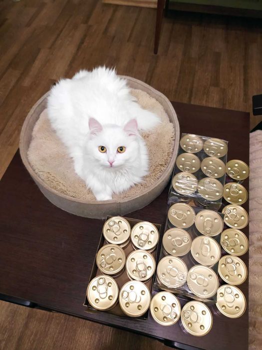 евакуація тварин з Харкова