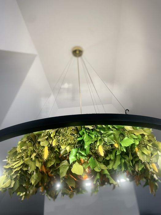 Żyrandol, lampa z zielenią naturalną, Lampa LED, Garden